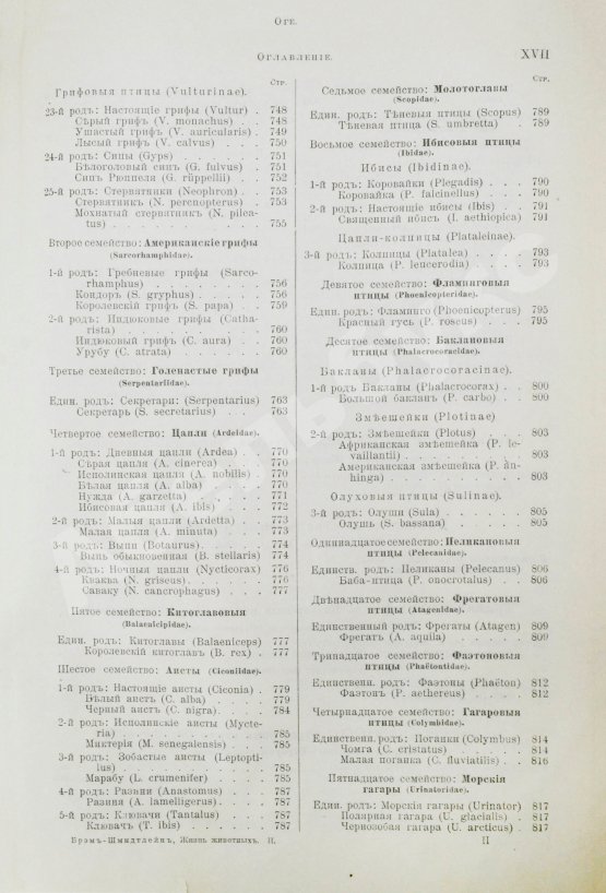 Антикварная книга Брэм, А. Жизнь животных Брэма
