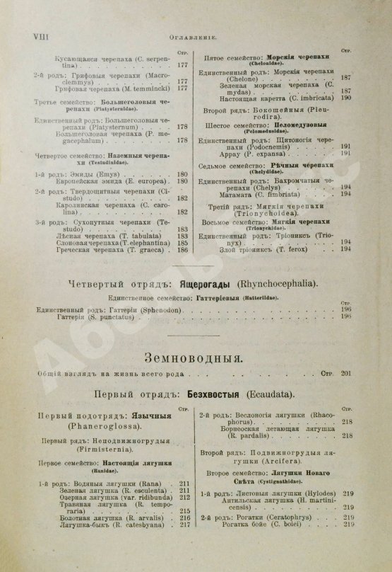 Антикварная книга Брэм, А. Жизнь животных Брэма