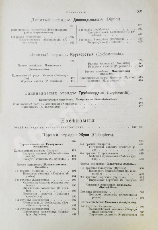 Антикварная книга Брэм, А. Жизнь животных Брэма
