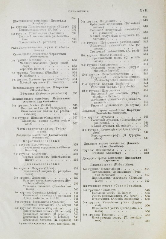 Антикварная книга Брэм, А. Жизнь животных Брэма
