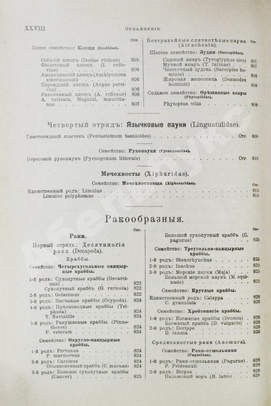 Антикварная книга Брэм, А. Жизнь животных Брэма