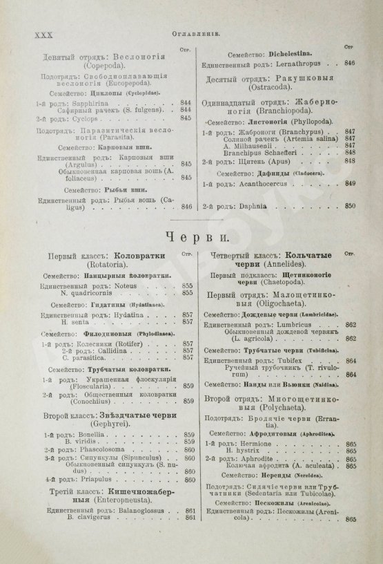 Антикварная книга Брэм, А. Жизнь животных Брэма
