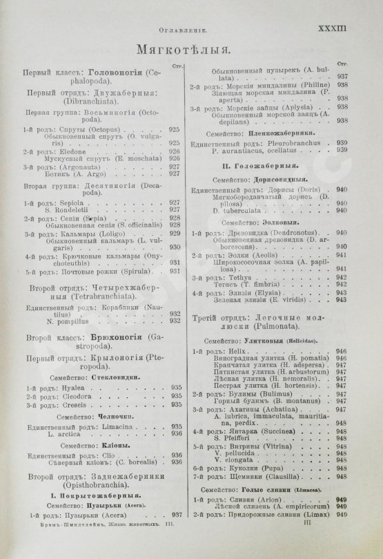 Антикварная книга Брэм, А. Жизнь животных Брэма