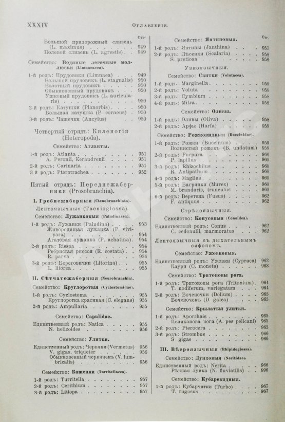 Антикварная книга Брэм, А. Жизнь животных Брэма