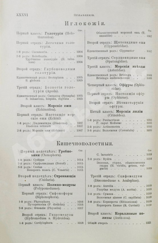 Антикварная книга Брэм, А. Жизнь животных Брэма