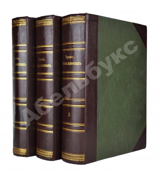 Антикварная книга Брэм, А. Жизнь животных Брэма