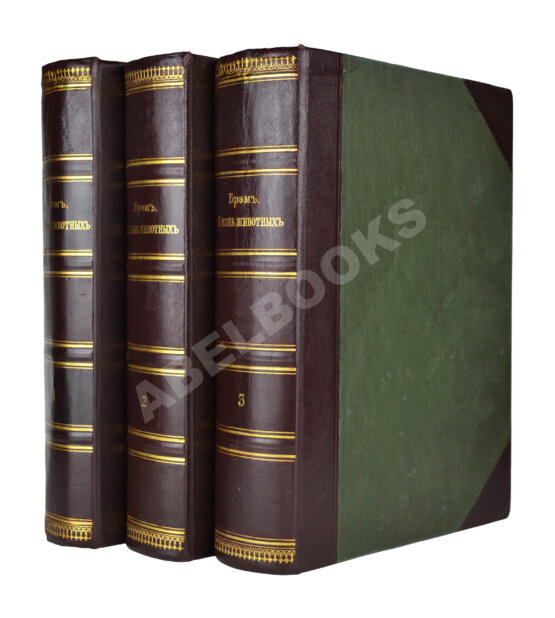 Антикварная книга Брэм, А. Жизнь животных Брэма