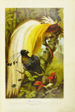 Брэм, А. Жизнь животных Брэма