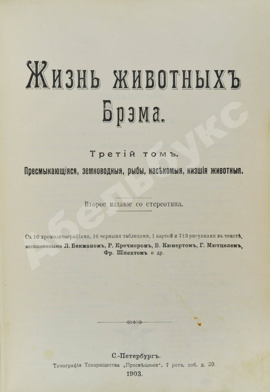 Антикварная книга Брэм, А. Жизнь животных Брэма