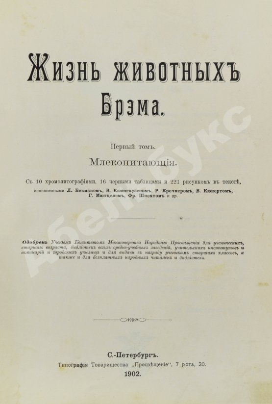 Антикварная книга Брэм, А. Жизнь животных Брэма