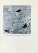 Двадцать семь месяцев на дрейфующем корабле «Георгий Седов»