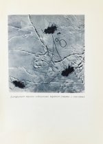 Двадцать семь месяцев на дрейфующем корабле «Георгий Седов»