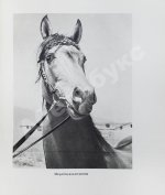 Скосырев, П.Г. Туркменистан