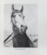 Скосырев, П.Г. Туркменистан