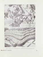 Армянская ССР на Всесоюзной сельско-хозяйственной выставке 1939 года