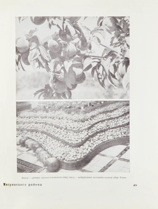 Антикварная книга Армянская ССР на Всесоюзной сельско-хозяйственной выставке 1939 года