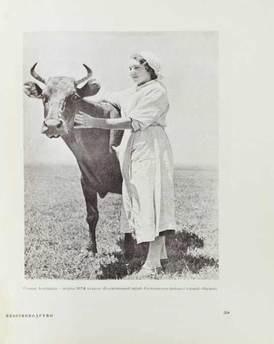 Антикварная книга Армянская ССР на Всесоюзной сельско-хозяйственной выставке 1939 года