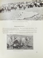 Армянская ССР на Всесоюзной сельско-хозяйственной выставке 1939 года