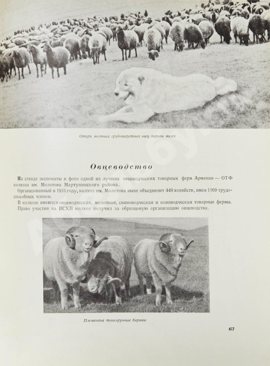 Антикварная книга Армянская ССР на Всесоюзной сельско-хозяйственной выставке 1939 года