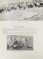 Армянская ССР на Всесоюзной сельско-хозяйственной выставке 1939 года