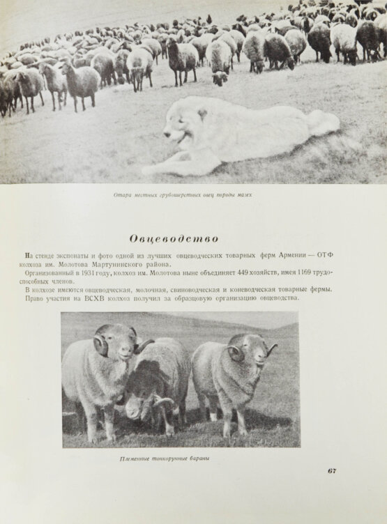 Антикварная книга Армянская ССР на Всесоюзной сельско-хозяйственной выставке 1939 года