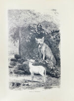 Лафонтен, Ж. Басни Лафонтена. Полное собрание