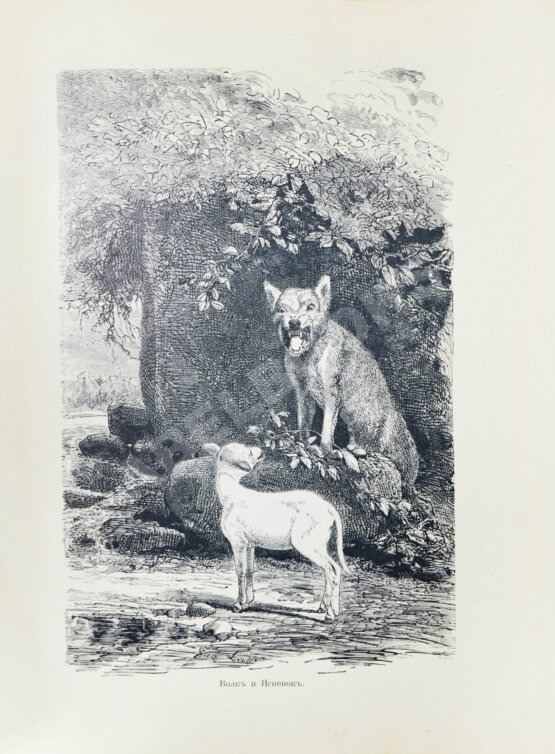 Антикварная книга Лафонтен, Ж. Басни Лафонтена. Полное собрание