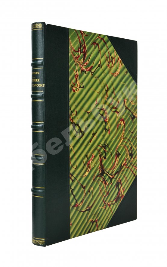 Антикварная книга Гроддек, А. фон. Руководство к изучению рудных месторождений