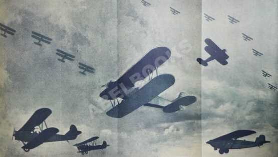 Антикварная книга Гражданский воздушный флот СССР к XVII съезду ВКП(б)