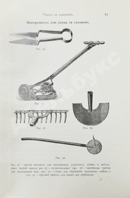 Антикварная книга Каменоградский, П.И. [автограф] Дачный сад. Разбивка и обсадка небольших садов и парков деревьями, кустами и цветами