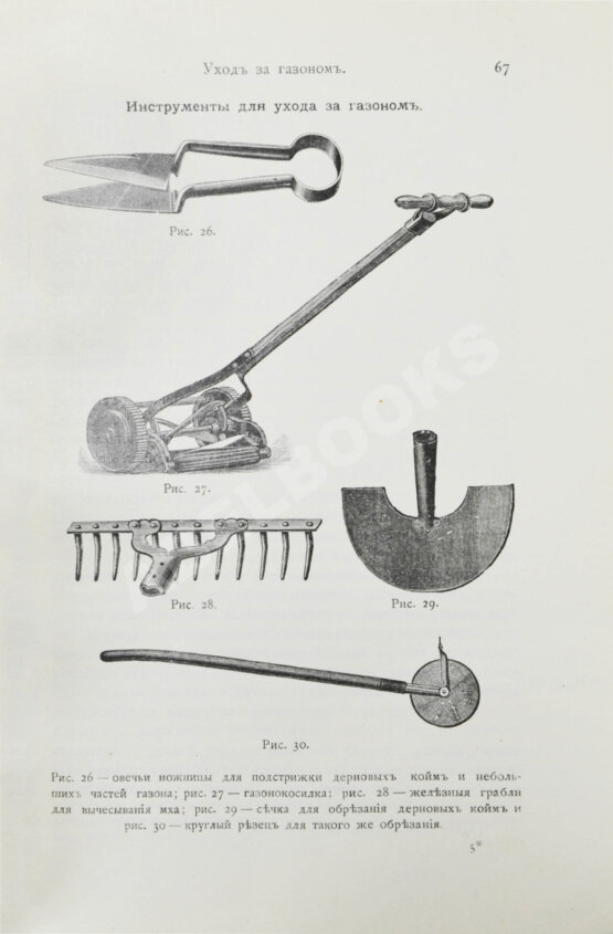 Антикварная книга Каменоградский, П.И. [автограф] Дачный сад. Разбивка и обсадка небольших садов и парков деревьями, кустами и цветами