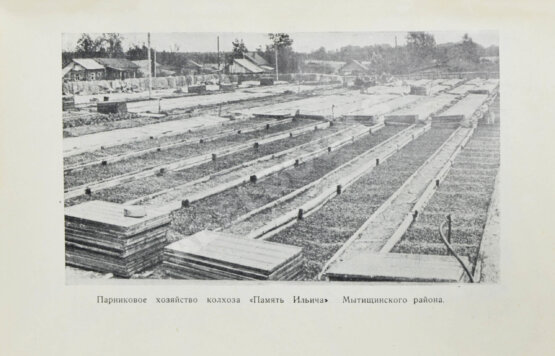 Антикварная книга Московская орденоносная