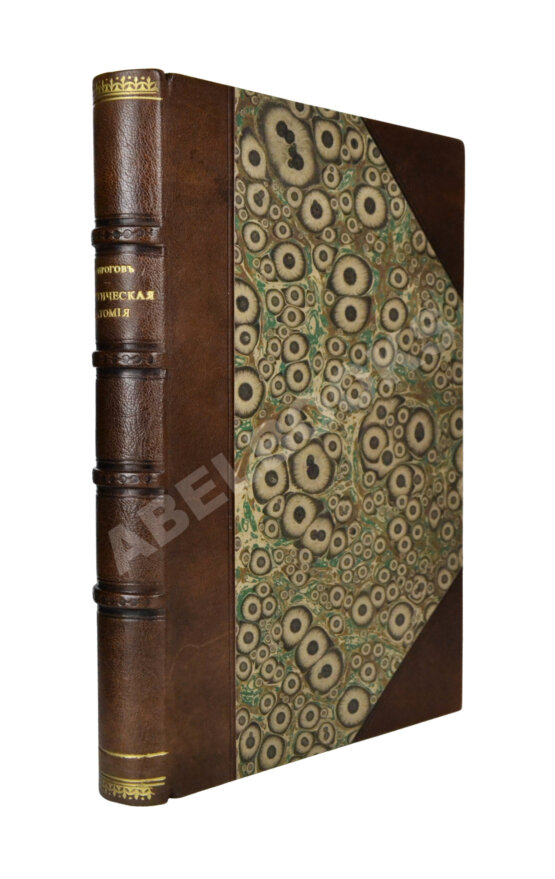 Пирогов, Н.И. Хирургическая анатомия артериальных стволов и фасций