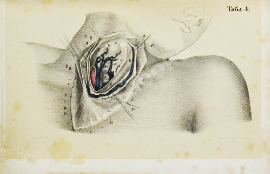 Пирогов, Н.И. Хирургическая анатомия артериальных стволов и фасций