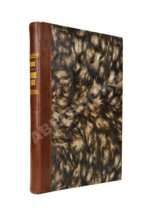 Рерих, Н.К. Сердце Азии