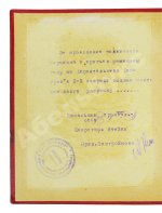 Вестники побед. Альбом массовых физкультурных мероприятий «Красной газеты»