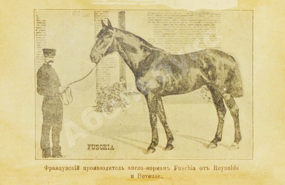 Антикварная книга Во, Ш.М. де. Верховая езда прежде и теперь