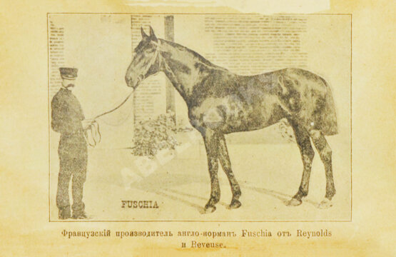 Антикварная книга Во, Ш.М. де. Верховая езда прежде и теперь