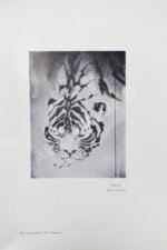 Гартман, С. Японское искусство