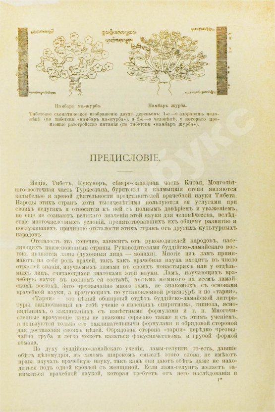 Антикварная книга Бадмаев, П.А. Главное руководство по врачебной науке Тибета Жуд-Ши