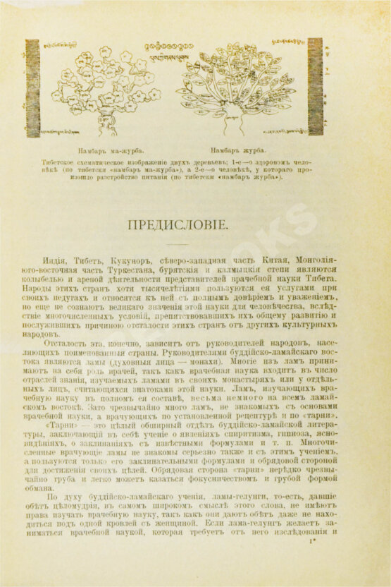 Антикварная книга Бадмаев, П.А. Главное руководство по врачебной науке Тибета Жуд-Ши