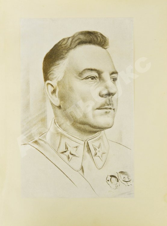 Антикварная книга Боевые подруги