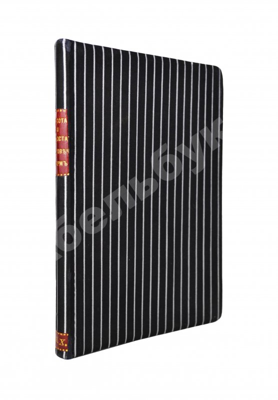 Антикварная книга Брюкке, Э. Красота и недостатки человеческих форм