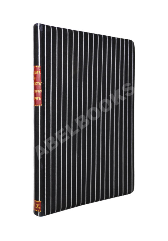 Антикварная книга Брюкке, Э. Красота и недостатки человеческих форм