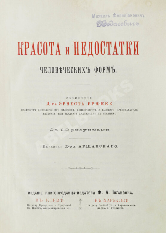 Антикварная книга Брюкке, Э. Красота и недостатки человеческих форм