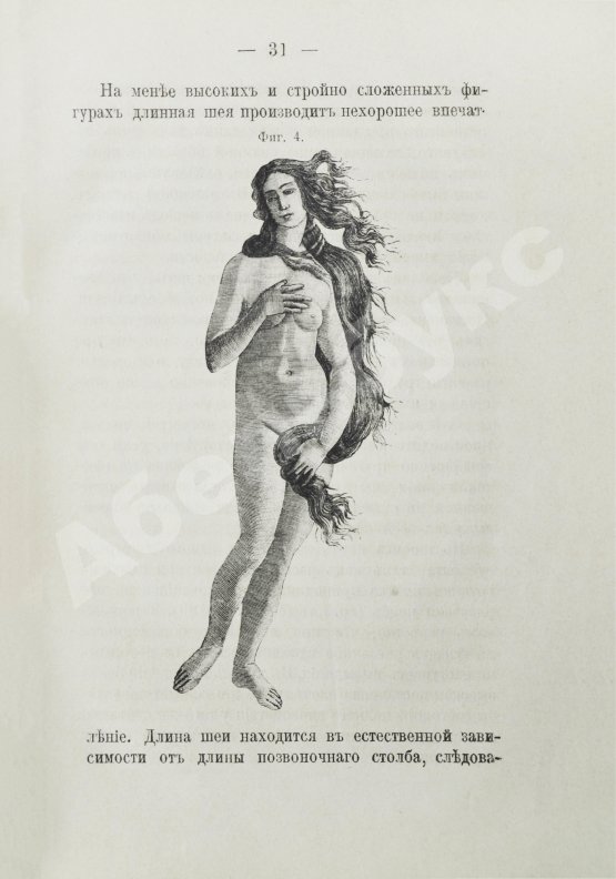 Антикварная книга Брюкке, Э. Красота и недостатки человеческих форм