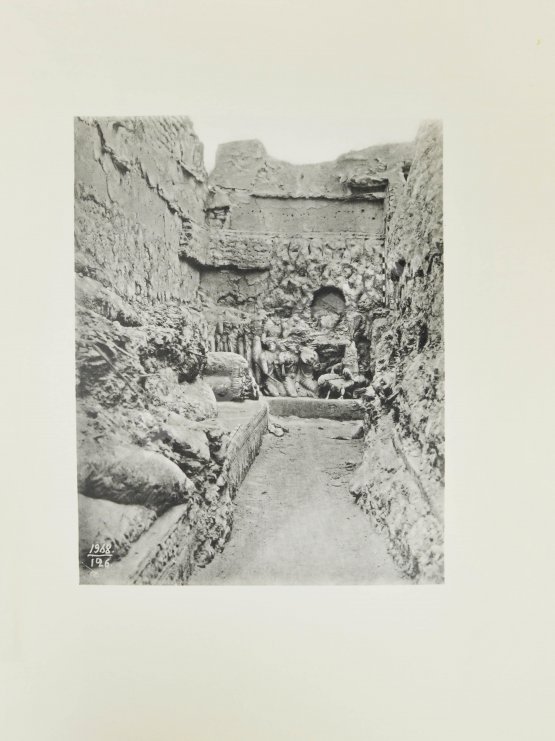 Антикварная книга Русская туркестанская экспедиция 1909-1910 года, снаряженная по Высочайшему повелению состоящим под Высочайшим Его Императорского Величества покровительством Русским комитетом для изучения Средней и Восточной Азии