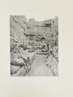 Русская туркестанская экспедиция 1909-1910 года, снаряженная по Высочайшему повелению состоящим под Высочайшим Его Императорского Величества покровительством Русским комитетом для изучения Средней и Восточной Азии