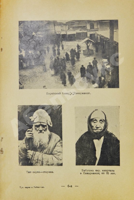 Антикварная книга Кантор, Л.М. Туземные евреи в Узбекистане