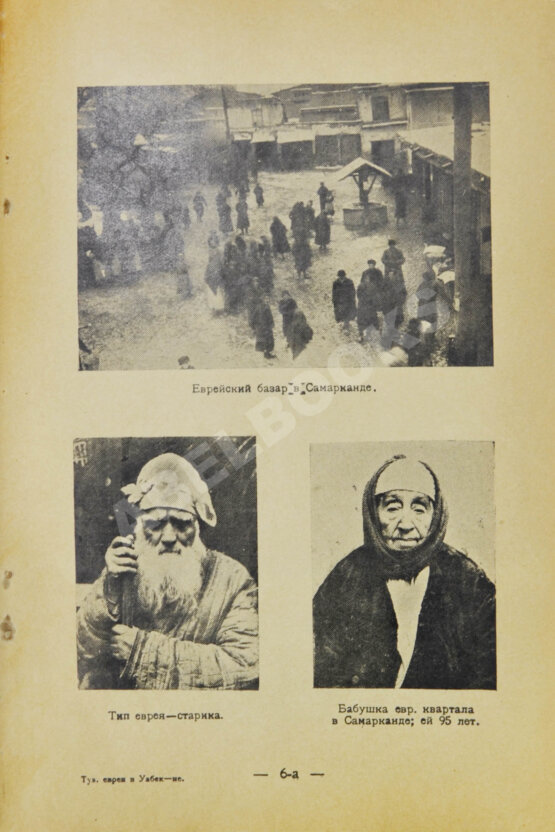 Антикварная книга Кантор, Л.М. Туземные евреи в Узбекистане Антикварная книга Кантор, Л.М. Туземные евреи в Узбекистане